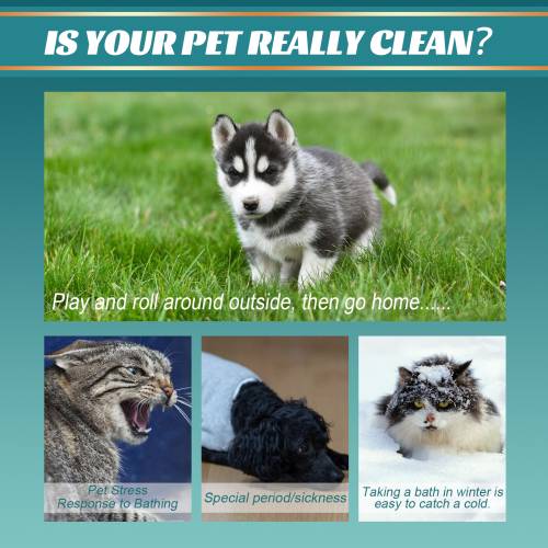 Pet Grooming Wipe Gloves, 10 Pieces