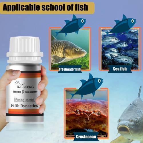 Carp Fishing Bait Attractant