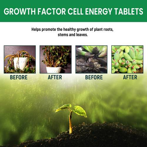 Slow-Release Plant Growth Tablets