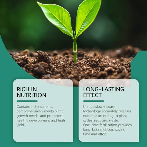 Seaweed Fertilizer Sticks
