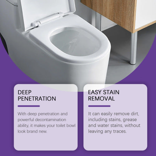 Toilet Cleaning Powder
