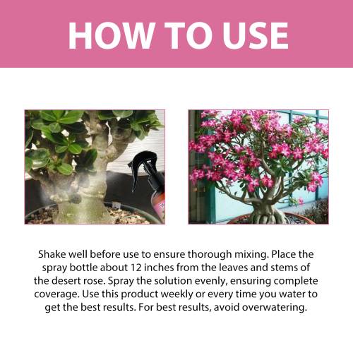 Desert Rose 3-1-2 Liquid Fertilizer