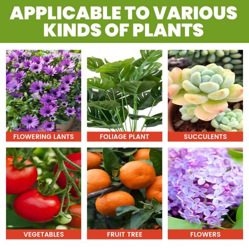Hydroponic Plant Nutrient Solution