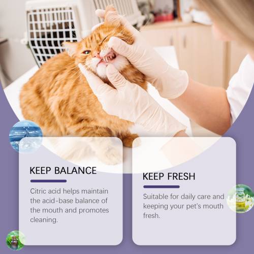 Oat Pet Oral Gel