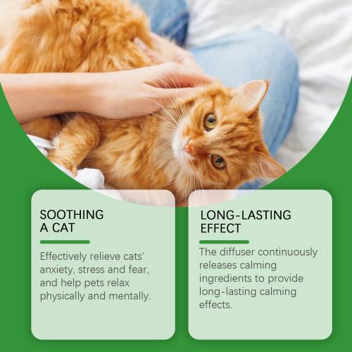 Cat Calming Set