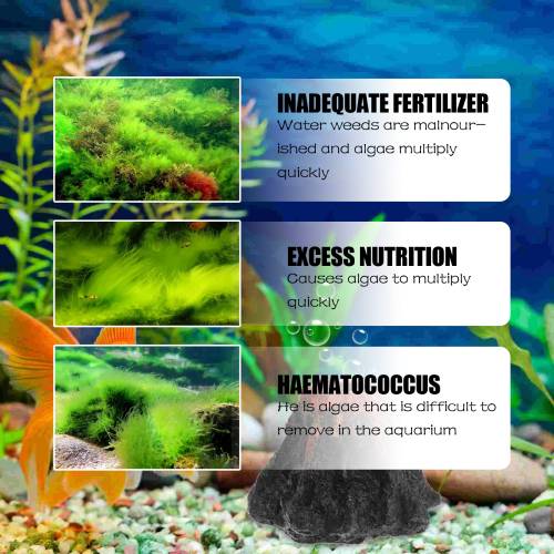Aquarium Algae Remover