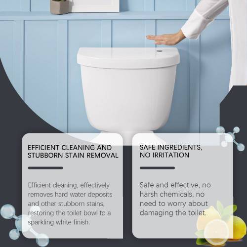 Toilet Tank Cleaner