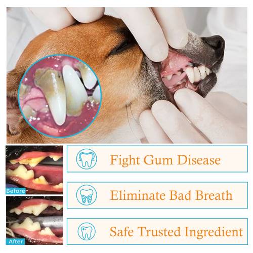 Dog & Cat Dental Finger Wipes