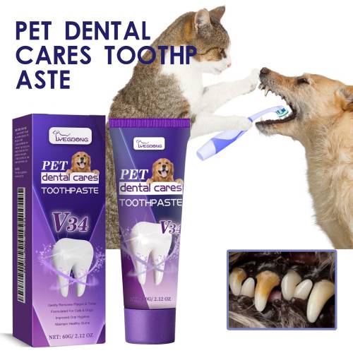 Pet V34 Toothpaste