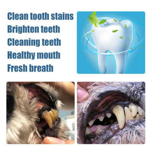 Pet Tooth Cleaning Pen