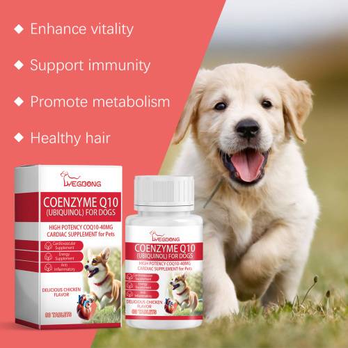 Dog Coenzyme Tablets