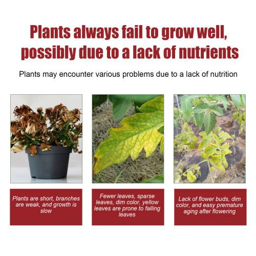 Organic Slow-Release Fertilizer Tablets for Flowers & Trees