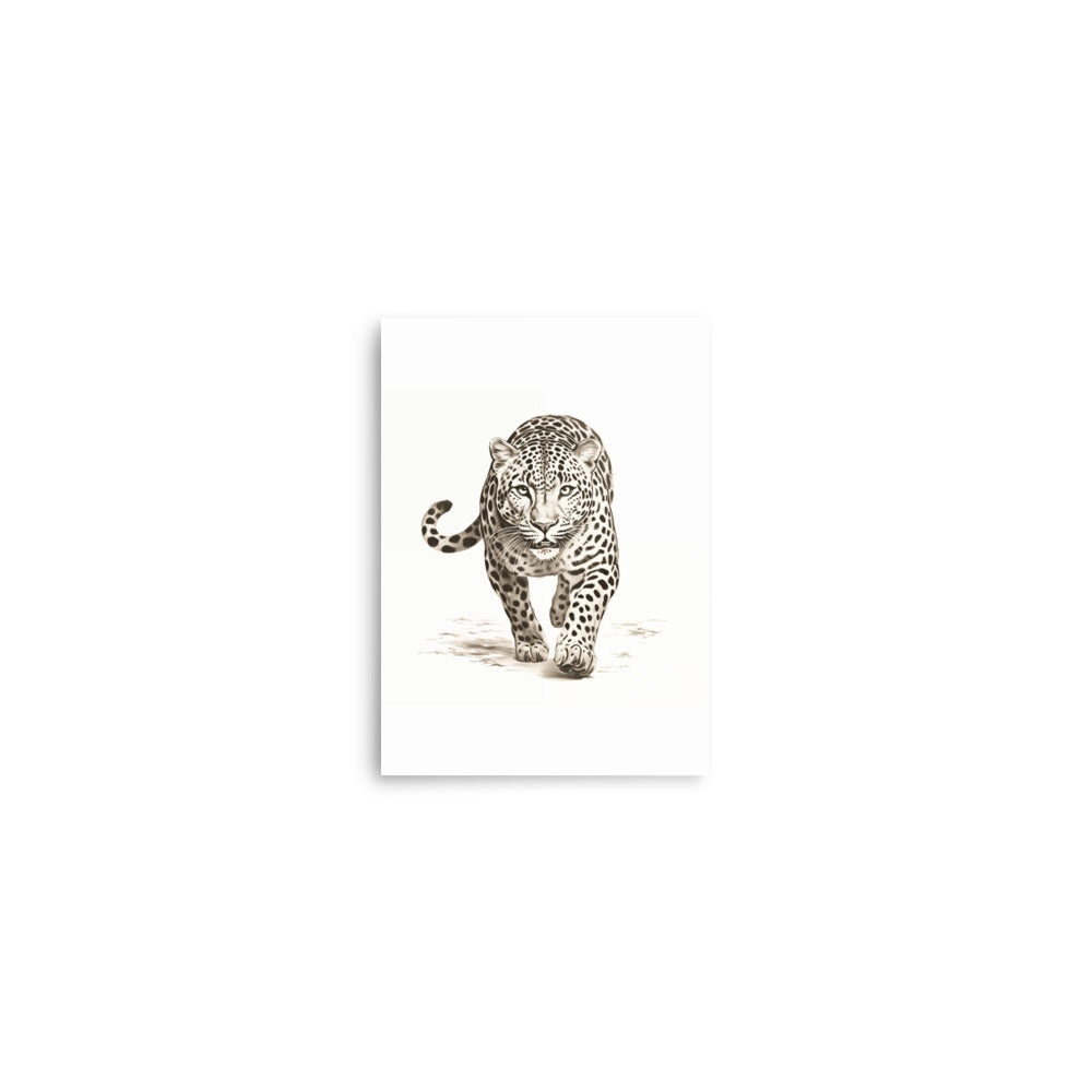 Jaguar 1 | zavevo