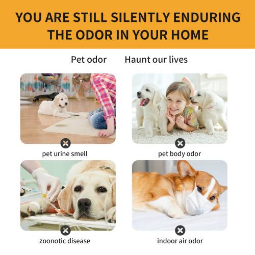 Pet Fabric Odor Spray