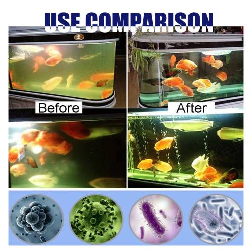 Aquarium Algae Remover