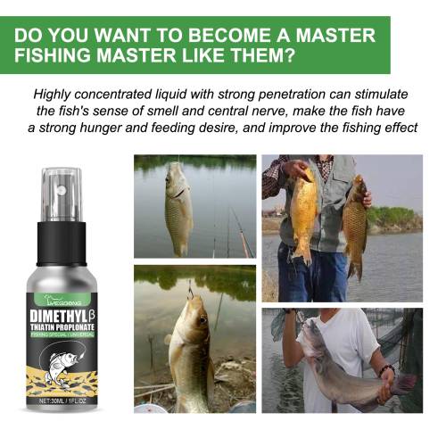 Fishing Bait Attractant
