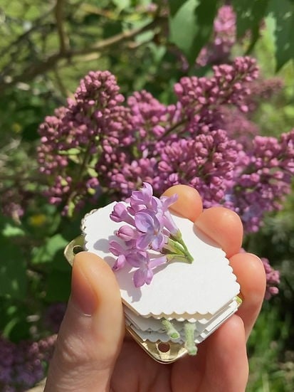 zavevo | Mini Flower Press | Compact Botanical Keepsake Maker | Portable Craft Tool