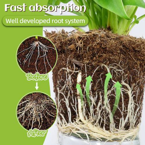 Plant Bloom Fertilizer Sticks