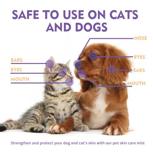 Pet Skin Spray