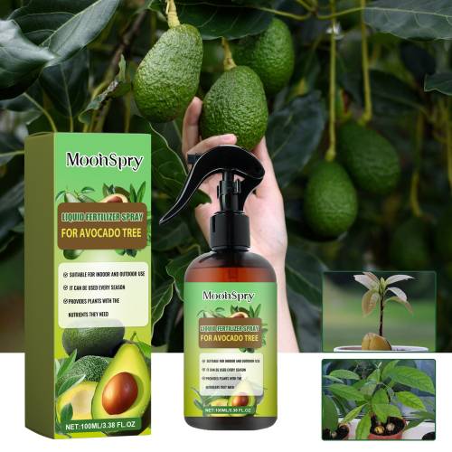Avocado Tree 3-1-2 Liquid Fertilizer