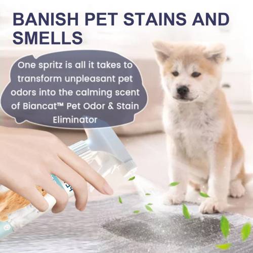Pet Odor & Stain Eliminator