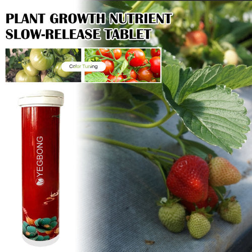 Plant Growth Nutrient Tablets