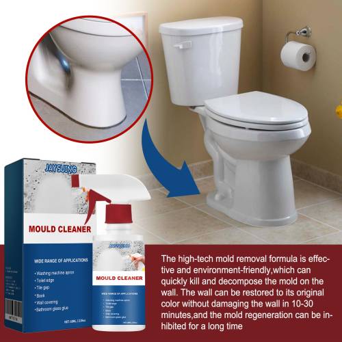Mold & Mildew Stain Spray