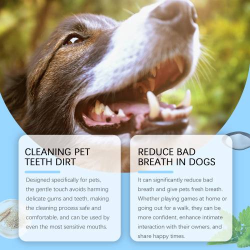 Oat Pet Toothbrush Pen