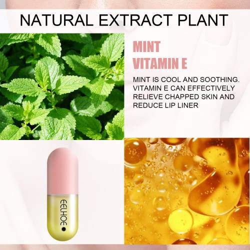Day & Night Plumping Lip Serum with Ginger & Mint