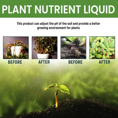 Slow-Release Plant Nutrient Solution