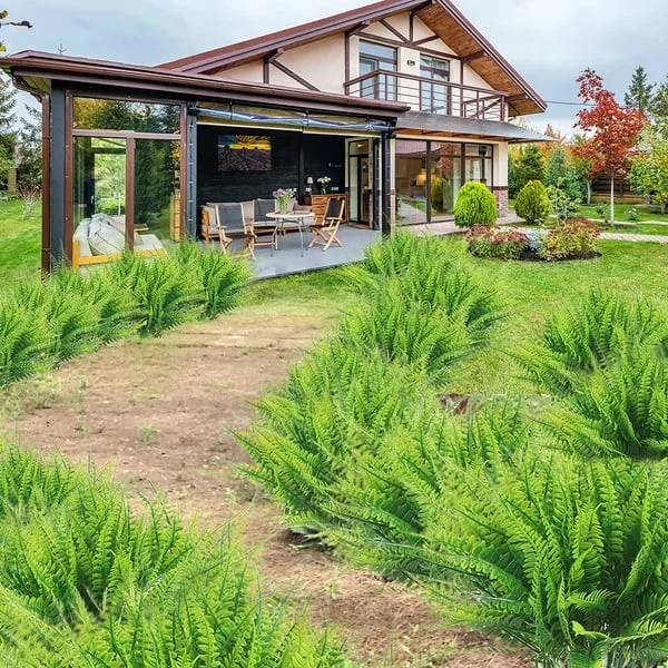 zavevo | UV Resistant Artificial Boston Fern | Lifelike, Waterproof & Maintenance-Free for Outdoor Décor